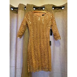 NWT Lulu's Pink Sequin Dress